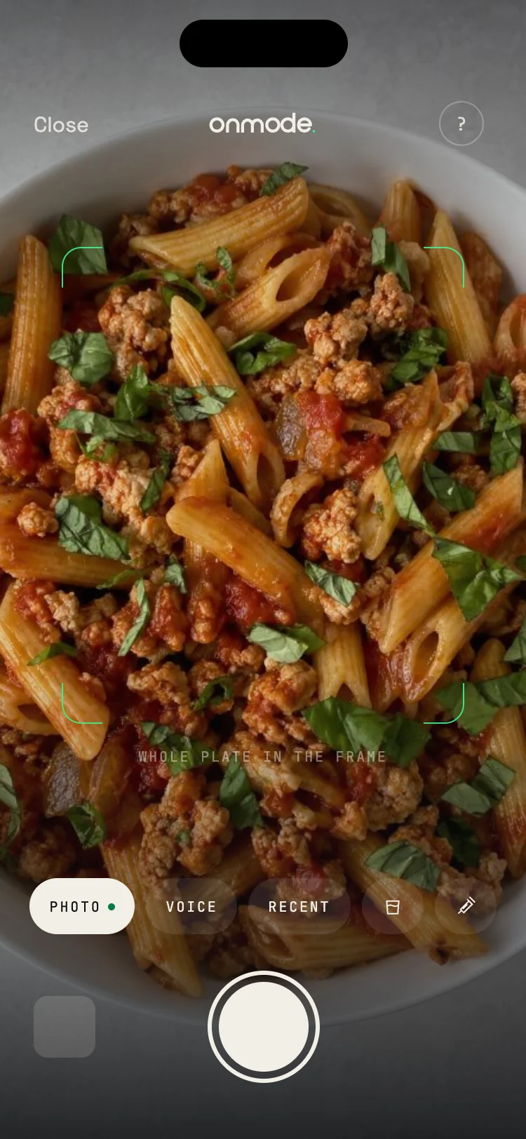 The camera with a plate of pasta in the frame